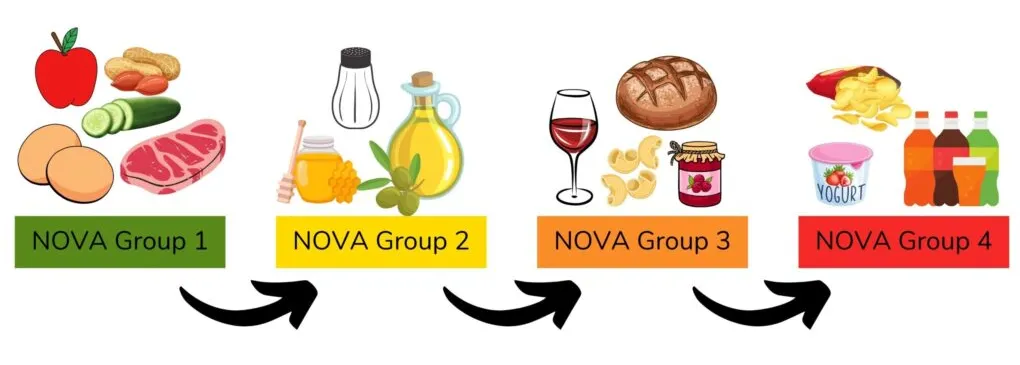 Diagrama dos quatro Grupos NOVA: do Grupo 1 (alimentos naturais) ao Grupo 4 (ultraprocessados)